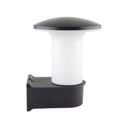 Sole Mantar Aplik (28 cm) resmi