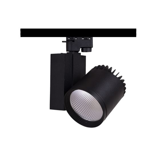 MOL2028 Ray Spot resmi