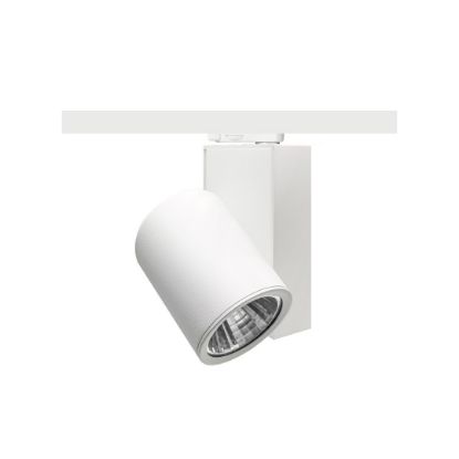 MOL2058 Ray Spot resmi