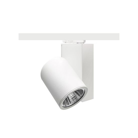 MOL2058 Ray Spot resmi