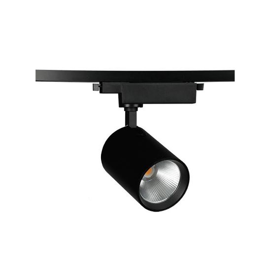 MOL2041 Ray Spot resmi